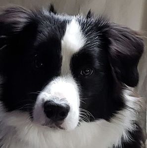 Meet your Posher, Christine renae